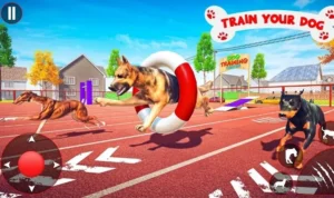 Đua Chó tại V9Bet