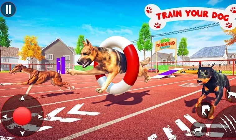 Đua Chó tại V9Bet